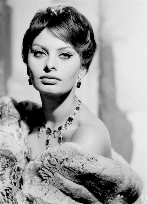 Loren Sophia Sophia Loren Sofia Loren Sophia