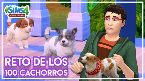 Segunda Camada De Cachorros 🐶 Los Sims 4 Perros Y Gatos Reto 100