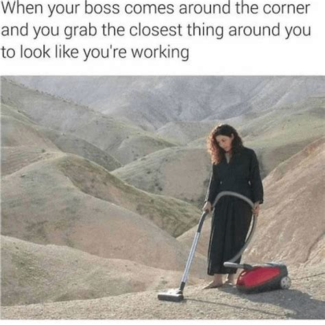 Productivity Memes 60 Funniest Memes To Make Your Monday Suck Less