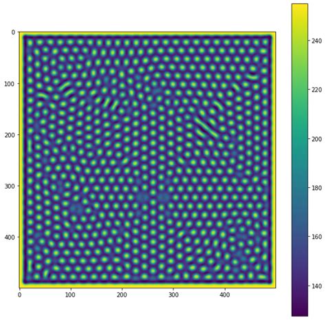 Mathematical Modeling of Animal Patterns | Devpost