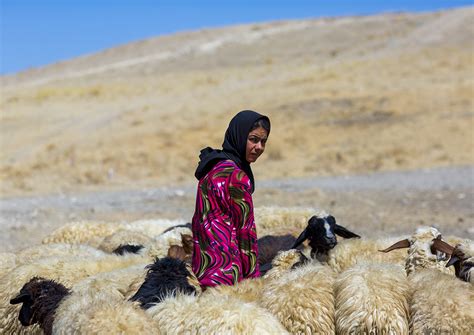kurdish sheperd azaban kurdistan iraq © eric lafforgue … flickr