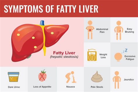 Fatty Liver Symptoms Philadelphia Holistic Clinic