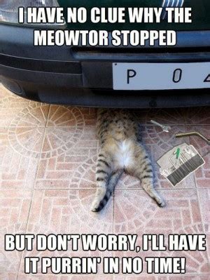 Introduction to the most famous cat on the internet: Car Repair Funny Quotes. QuotesGram