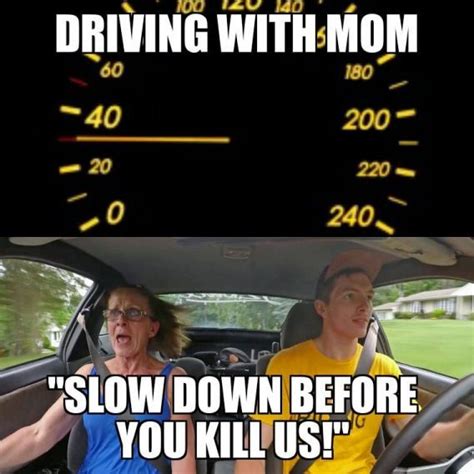 Drive right textbook chapter 6 learn with flashcards, games and more — for free. 20 Most Hilarious Driving Memes - SayingImages.com