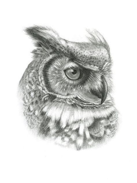 Great Horned Owl Drawing Outline
