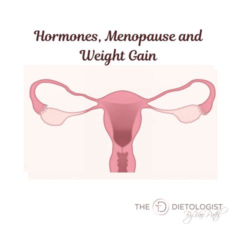 Hormones Menopause And Weight Gain