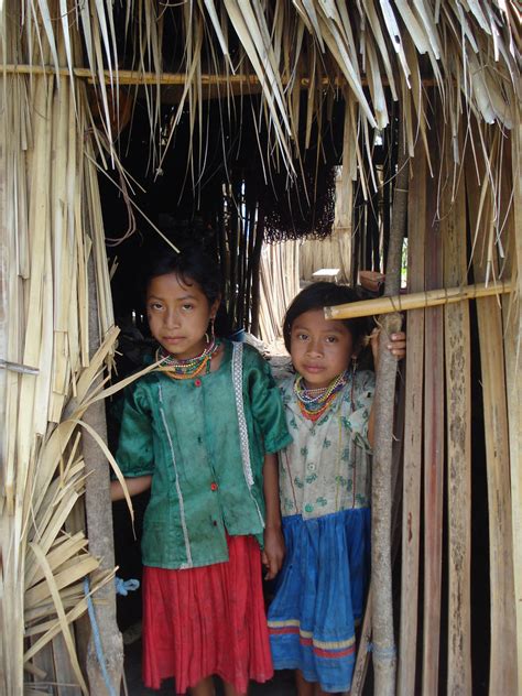 Naturally existing in a place or country rather than arriving from another place: Poverty Rates Strikingly High Among Indigenous Populations | Inter Press Service