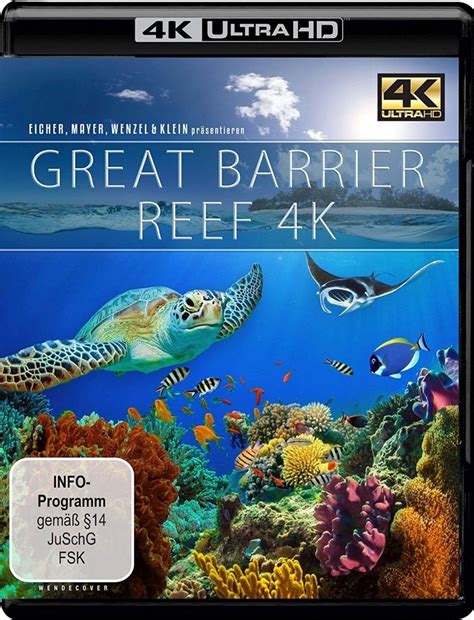 Great Barrier Reef K UHD Blu Ray Blu Ray Amazon It Timo Joh