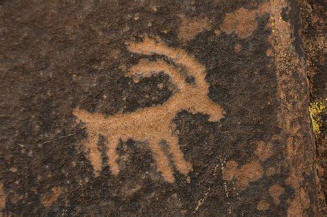 Anasazi Petroglyph Of A Desert Bighorn Sheep Prehistoric R Flickr