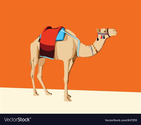 Camel With A Saddle Royalty Free Vector Image Vectorstock