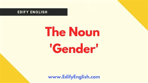 Noun Gender Explained With Examples English Grammar And Vocabulary