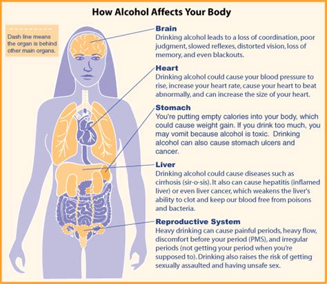Cause And Effect Of Alcohol Use Alcohol Effects Short 2022 11 02