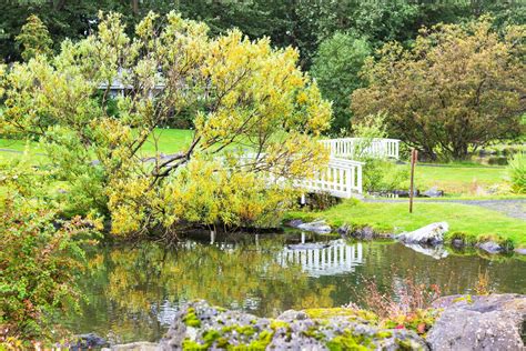 Public Park In Laugardalur Valley Of Reykjavik 11691933 Stock Photo At