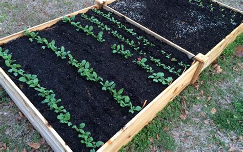 Can I Use Garden Soil In A Raised Bed 3 Raised Bed Soil Mixes