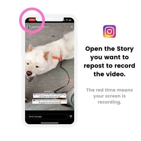 How To Repost Someones Instagram Story The Ultimate Guide