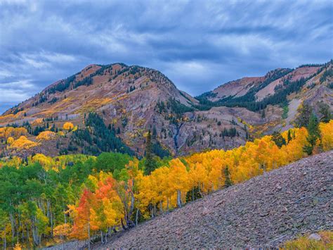 Nature Landscape Colorado Fall Autumn In Colorado Desktop Wallpaper Hd
