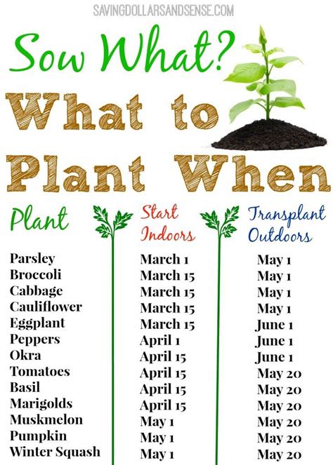 What To Plant When Chart What To Plant When Home Vegetable Garden
