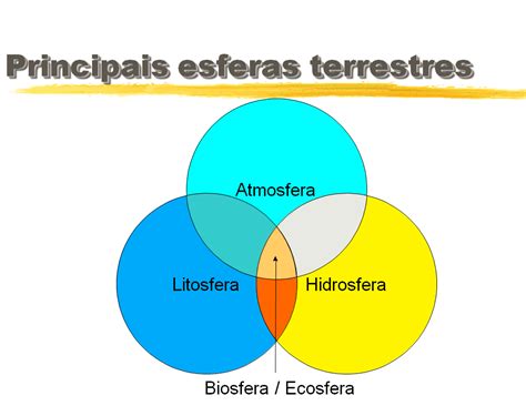 Com Base Em Que Os Cartógrafos Traçaram Na Esfera Terrestre