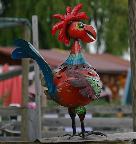 Kamu pasti bisa meniru gambar ini dengan sangat mudah. Gambar Ilustrasi Ayam Jantan | Iluszi