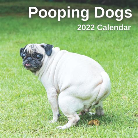 Pooping Dogs 2022 Calendar Funny Pooches Answering Natures Call For