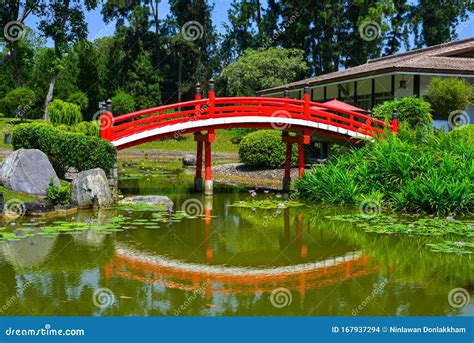 Traditional Red Bridge At The Japanese Garden Stock Photo Image Of