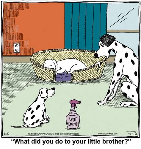 Funny Spotty Dog Cartoon Dog Dalmatian
