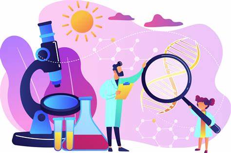 Заблуждения о диетах