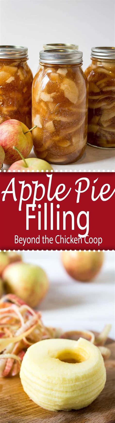 Easy delicious apple pie filling made with tart apples, cinnamon, and nutmeg, that works great canned or frozen. Apple Pie Filling | Recipe | Canning recipes, Food recipes, Apple recipes