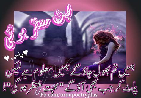 55 Best Urdu Poetry Video