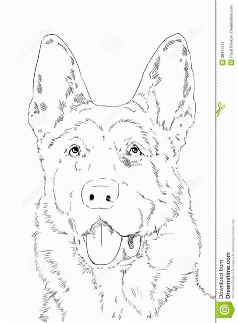 The breed standard calls for nice dark pigment and rich colors. German Shepherd Coloring Page | German shepherd colors ...