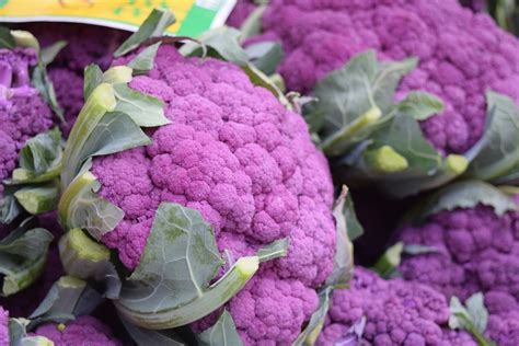 Grow Purple Vegetables In Your Garden Garden Savvy Blog