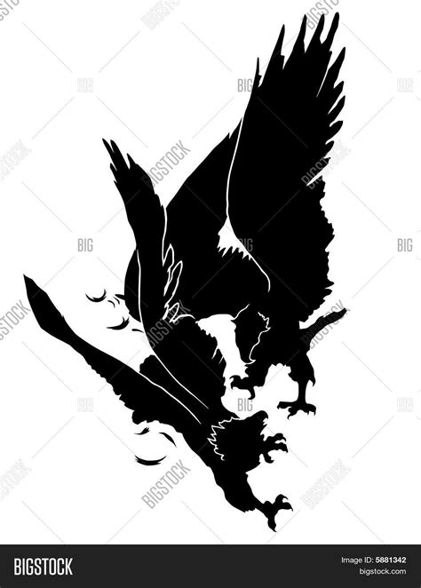 Fighting Eagles Vector And Photo Free Trial Bigstock