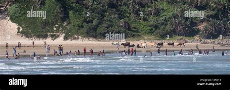 Second Beach Port St Johns South Africa People Play In The Sea On