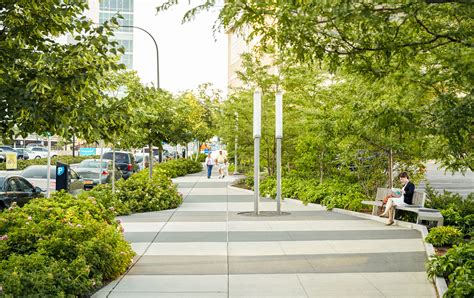 Creating A Linear Forest In The City To Combat Urban Heat Island Effect