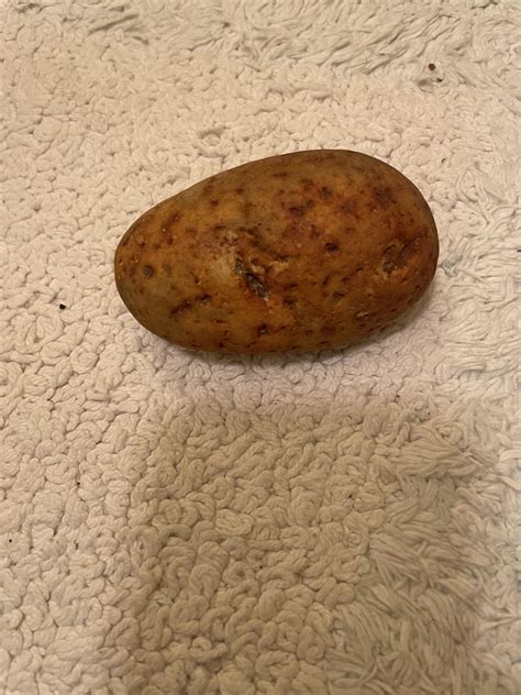 This Rock That Looks Like A Potato Mildlyinteresting