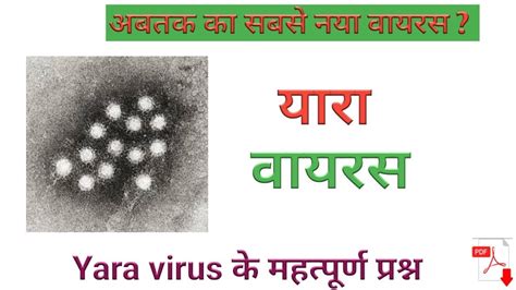 Yara Virus Yara Virus Kya Hai Yara Virus Ka Important QuestionsSTARTING STUDY YouTube