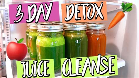 These lose weight juicing recipes are easy to make, and delicious! 3 DAY DETOX JUICE CLEANSE! LOSE WEIGHT IN 3 DAYS! - Weight ...