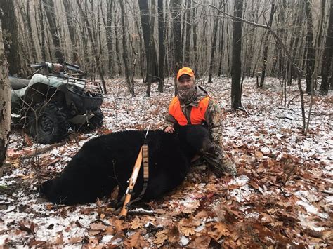 Where Did Hunters Kill The Most Bears In The Record Harvest Of 2019