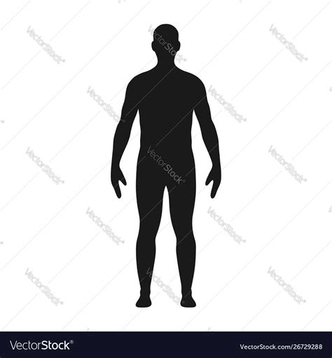 Man Silhouette Male Body Silhouette Royalty Free Vector