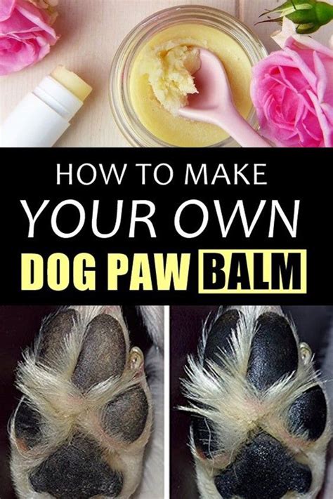 Diy Homemade Dog Paw Balm For Dry And Cracked Paws Dog Paw Balm Paw