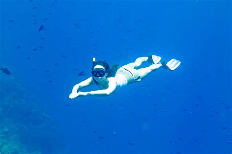 Snorkeling At Manta Level And Manta Bay Nusa Penida Bali Travel To