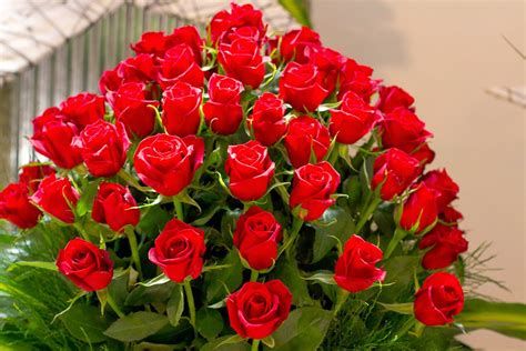 *panics and goes to draw*. Happy valentines day 2014 with flowers, sms, gift ...