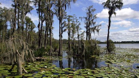 Restarting Floridas Economy By Weakening Water Quality And Growth