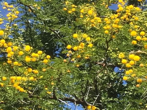 Allez zou, c'est parti, malgré un début d'année maussade et quelques retards dans les plantations à cause du mauvais temps, et particulièrement des dernières gelées fin mai, le boncoinsanté est à. 81 Luxe Le Bon Coin Var Jardinage | Jardin