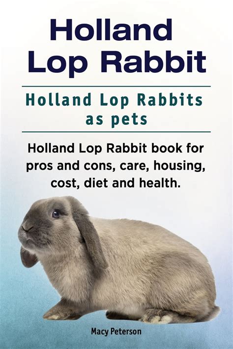Holland Lop Rabbit Holland Lop Rabbits As Pets Holland Lop Rabbit Book For Pros And Cons Care