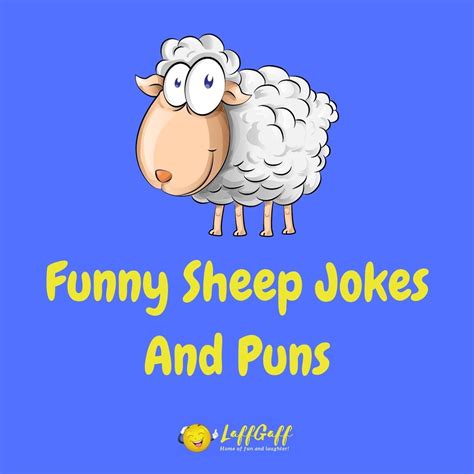 We Bet Ewe Havent Herd All Of These Hilarious Sheep Jokes And Puns Before Check Them Out