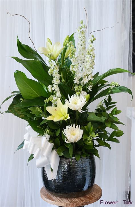 So if it's foliage you're after, go ahead and put your peace lily in a dark corner. Peace Lily & Flowers in Duluth, GA | Flower Talk