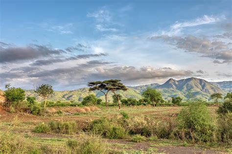 Ethiopian Landscape Near Arba Minch Ethiopia Photograph By Artush Foto