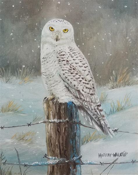 Snowy Owl Painting By Misty Walkup