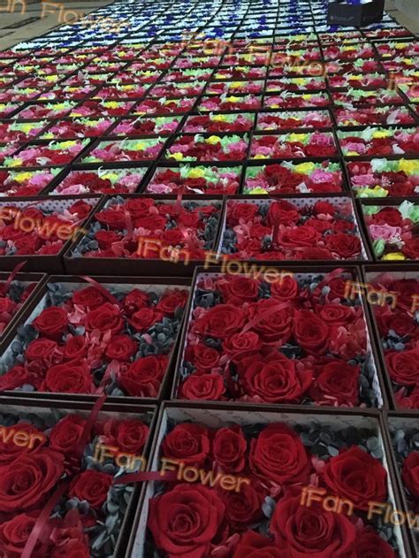 2017 New Products Long Lasting Roses Forever Rose Preserved Flower Rose